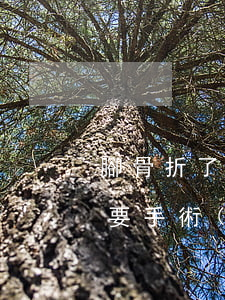 腳骨折了怎么請(qǐng)律師(腳骨折了要手術(shù)嗎)