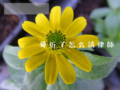 腳骨折了怎么請律師