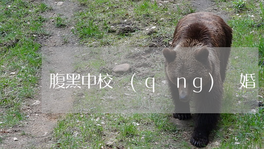 腹黑中校請(qǐng)離婚