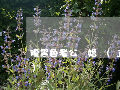 腹黑色老公離婚進(jìn)行時(shí)
