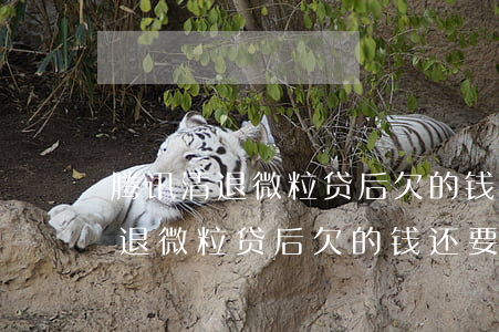 腾讯清退微粒贷后欠的钱还要还吗-腾讯清退微粒贷后欠的钱还要还吗怎么办