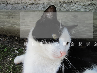 腾铭惠商逾期会起诉么(投诉腾铭惠商)