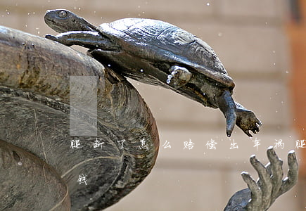 腿断了怎么赔偿(出车祸腿断了怎么赔偿多少钱)