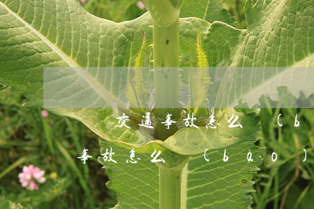 臚崗交通事故怎么報(bào)銷(臚崗交通事故怎么報(bào)銷)