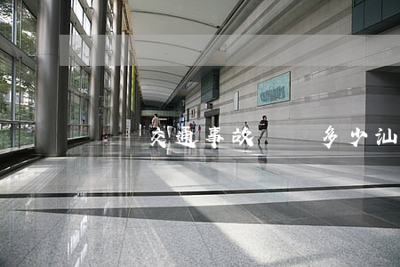 臚崗交通事故賠償多少(汕頭交通事故死亡賠償標準)