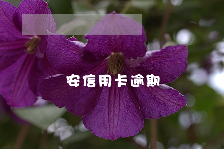 臨安信用卡逾期