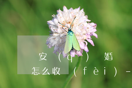 臨安區(qū)離婚債務(wù)糾紛律師怎么收費(fèi)-臨安區(qū)離婚債務(wù)糾紛律師怎么收費(fèi)的