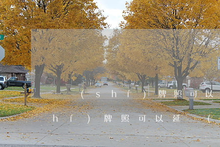 臨時(shí)牌照可以逾期幾天(臨時(shí)牌照可以延續(xù)嗎)