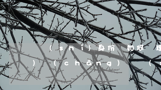 臨時(shí)身份證如何辦理(飛機(jī)場(chǎng)臨時(shí)身份證如何辦理)
