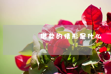 臨時借款的情形是什么
