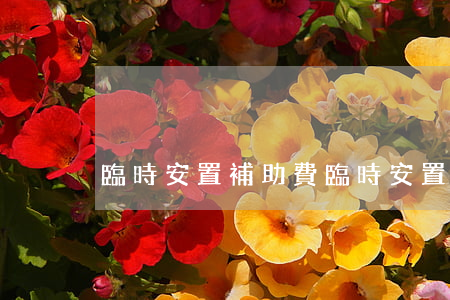 臨時安置補助費，臨時安置補助費怎么計算