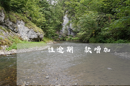 臨時性逾期貸款增加(臨時性逾期貸款增加)