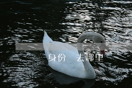 臨時身份證去哪里辦