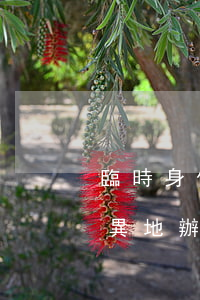 臨時身份證可以異地辦理嗎(臨時身份證可以異地辦理嗎,有效期多久)