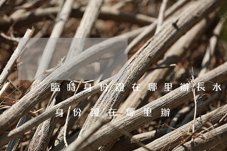 臨時身份證在哪里辦(長水機(jī)場臨時身份證在哪里辦)