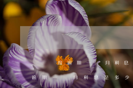 臨時額度逾期一個月利息是多少-臨時額度逾期一個月利息是多少錢