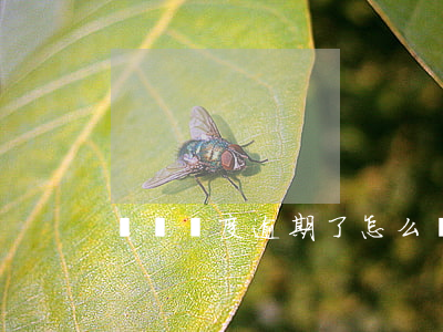 臨時額度逾期了怎么辦（臨時額度逾期）