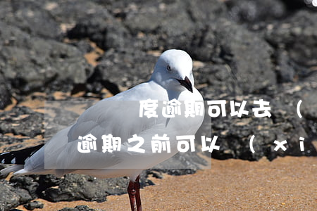 臨時額度逾期可以去協(xié)商還款嗎(逾期之前可以協(xié)商還款嗎)