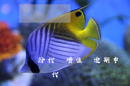 臨汾代辦增值稅逾期申報哪家好-臨汾記賬報稅代辦