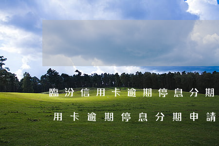 臨汾信用卡逾期停息分期申請條件-臨汾信用卡逾期停息分期申請條件是什么