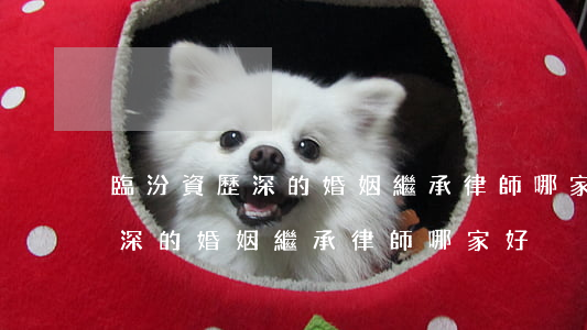 臨汾資歷深的婚姻繼承律師哪家好(臨汾資歷深的婚姻繼承律師哪家好)