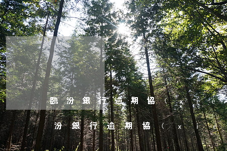 臨汾銀行逾期協(xié)商還款代理-臨汾銀行逾期協(xié)商還款代理