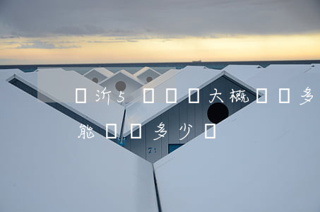 臨沂5級傷殘大概賠償多少錢(5級傷殘大概能賠償多少錢)