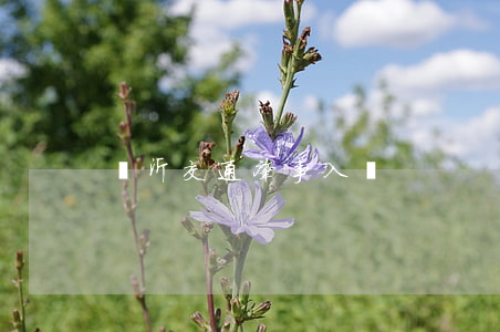 臨沂交通肇事入獄