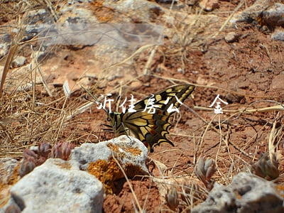 臨沂住房公積金