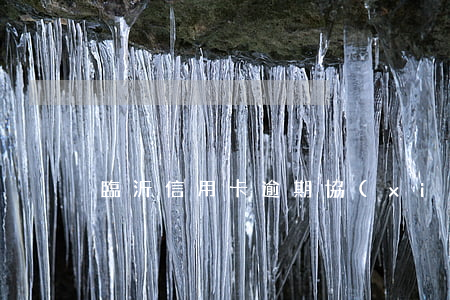 臨沂信用卡逾期協(xié)商(“信用卡逾期”)