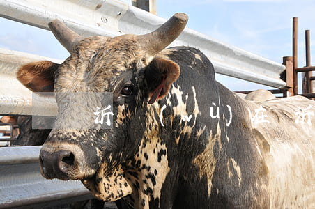 臨沂債務(wù)（在臨沂欠錢去哪里起訴）