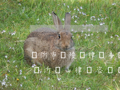 臨沂市蘭陵縣律師事務(wù)所哪個靠譜(臨沂蘭山律師咨詢電話)