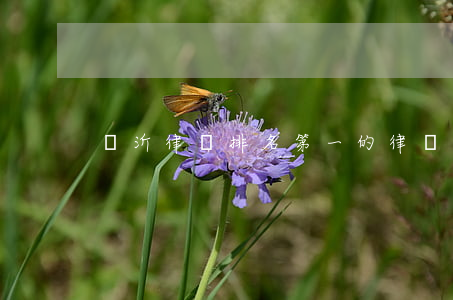 臨沂律師排名第一的律師(臨沂最好的律師)