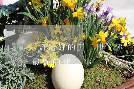 臨沂最好的工傷律師事務(wù)所(臨沂市最好的律師事務(wù)所)