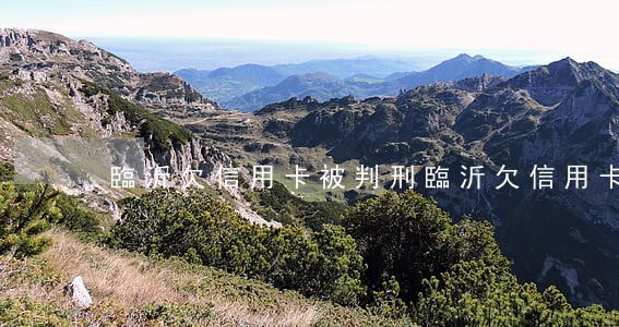 臨沂欠信用卡被判刑(臨沂欠信用卡被判刑)