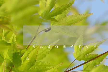 臨沂民生信用卡中心申請協(xié)商還款