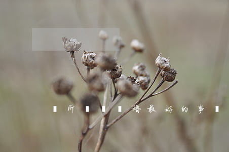 臨沂訴訟離婚最好的事務(wù)所
