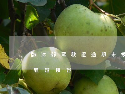 臨沭縣駕駛證逾期未換證人員名單-沭陽駕駛證換證