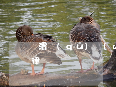 臨渭區(qū)網(wǎng)貸逾期糾紛律師