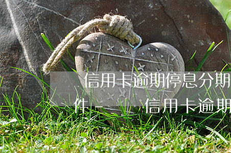 臨滄信用卡逾期停息分期申請(qǐng)條件-臨滄信用卡逾期停息分期申請(qǐng)條件是什么
