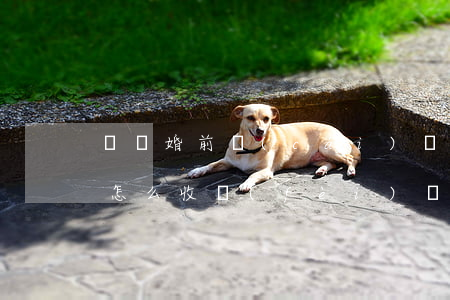 臨滄婚前財(cái)產(chǎn)律師怎么收費(fèi)(臨滄婚前財(cái)產(chǎn)律師怎么收費(fèi))