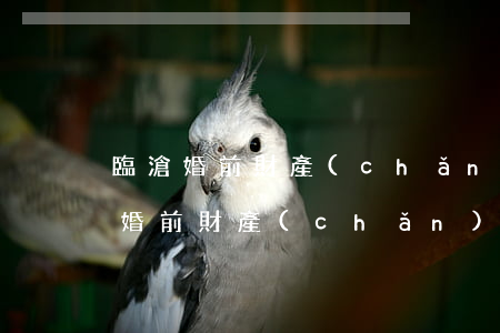 臨滄婚前財產(chǎn)律師哪個好(臨滄婚前財產(chǎn)律師哪個好)