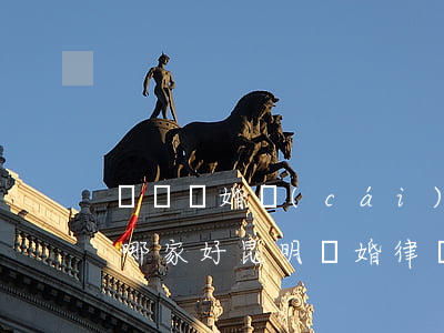 臨滄離婚財(cái)產(chǎn)律師哪家好(昆明離婚律師事務(wù)所排名前十位)