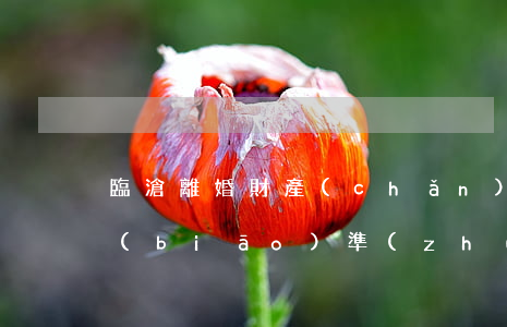 臨滄離婚財產(chǎn)分配律師收費標(biāo)準(zhǔn)(財產(chǎn)分割官司律師費標(biāo)準(zhǔn))