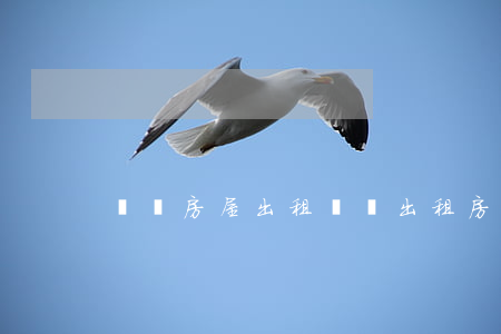 臨潁房屋出租(臨潁出租房二室一廳)