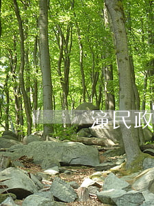 臨潼民政局離婚時間