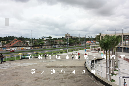 自书遗嘱由继承人执行可以吗(自书遗嘱由继承人执行可以吗)