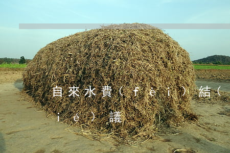 自來水費(fèi)結(jié)算協(xié)議