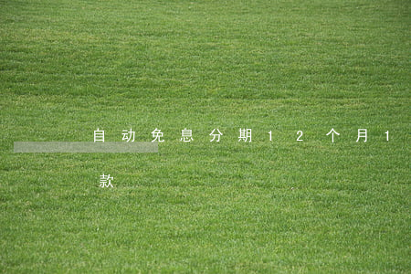 自动免息分期12个月(12个月免息分期付款)
