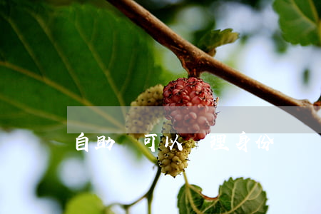 自助機可以辦理身份證嗎